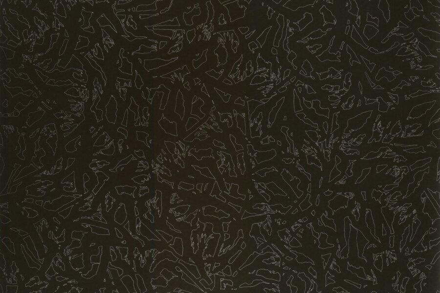 pohlednice s dílem Pavla Hayeka